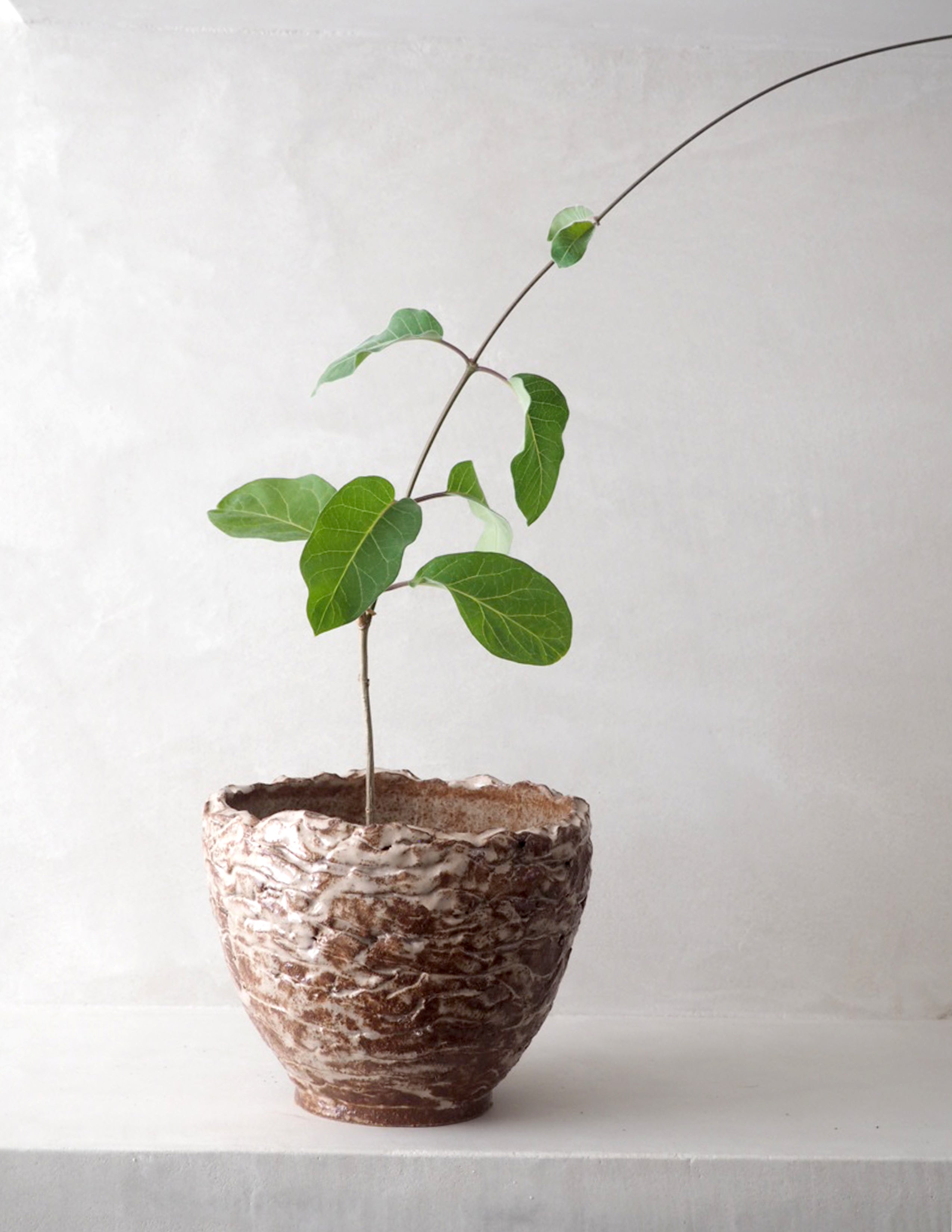 StineMei krukke - red