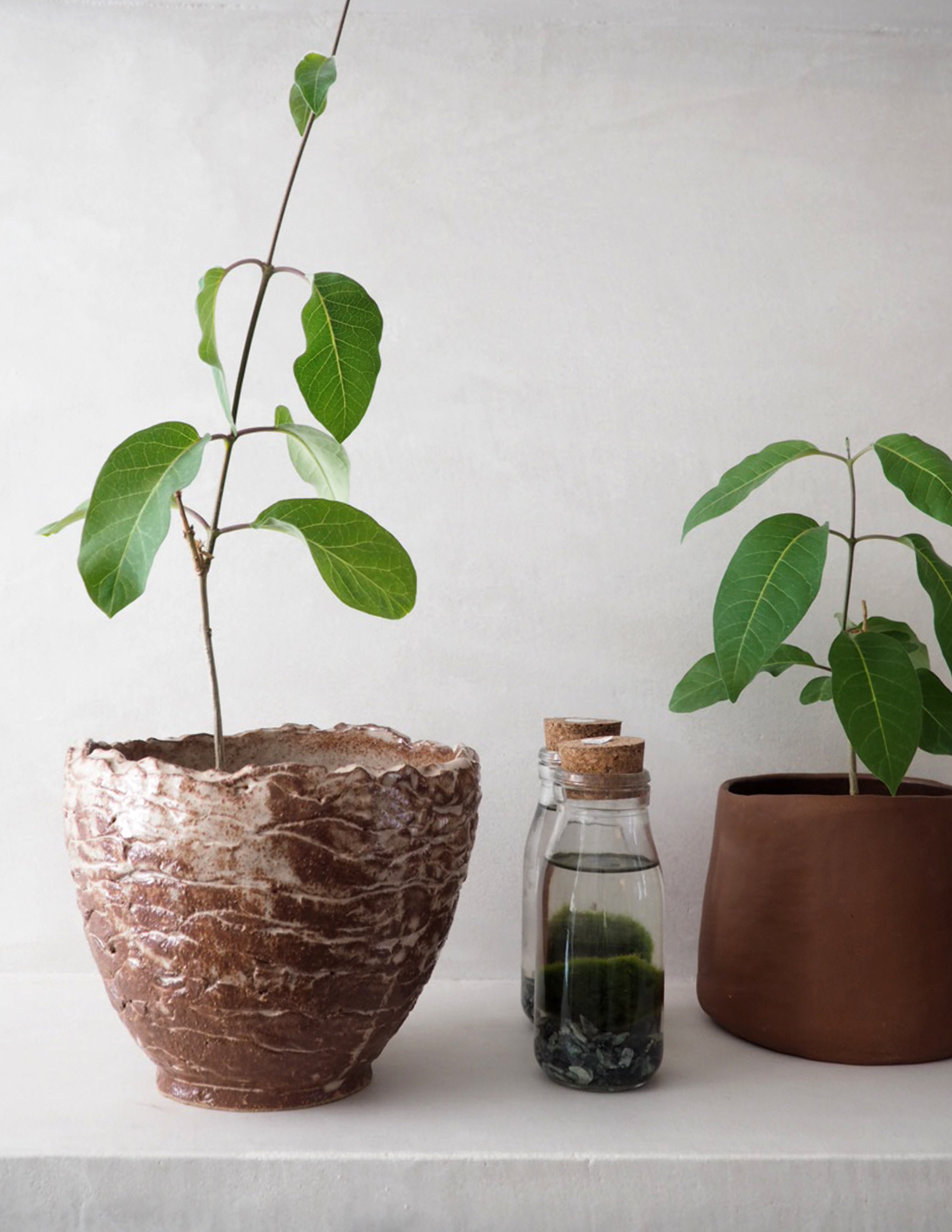 StineMei krukke - red