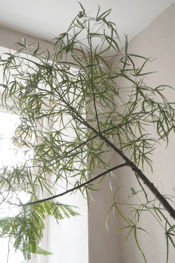 Kærlighedstræ (Stjerneblad) Stor