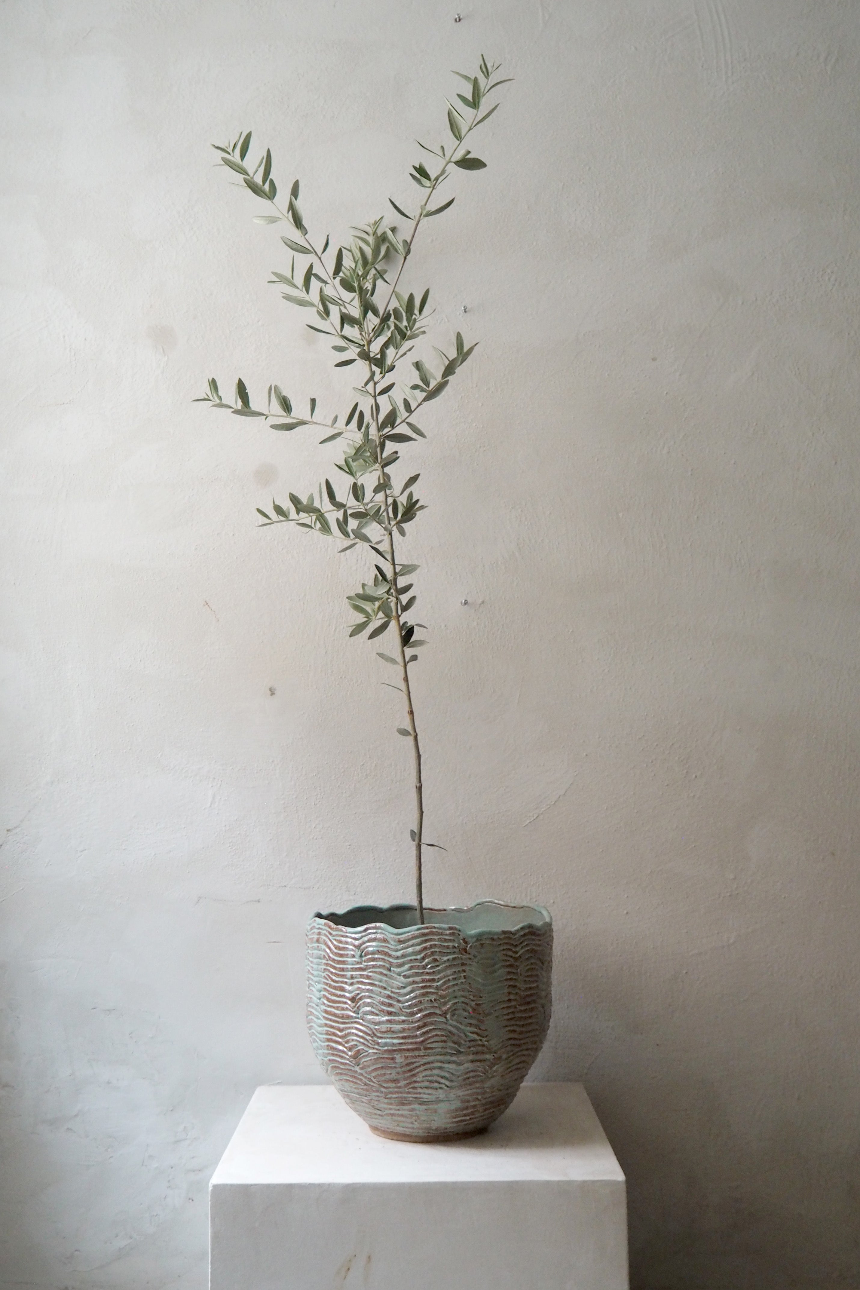 StineMei - Wood blue