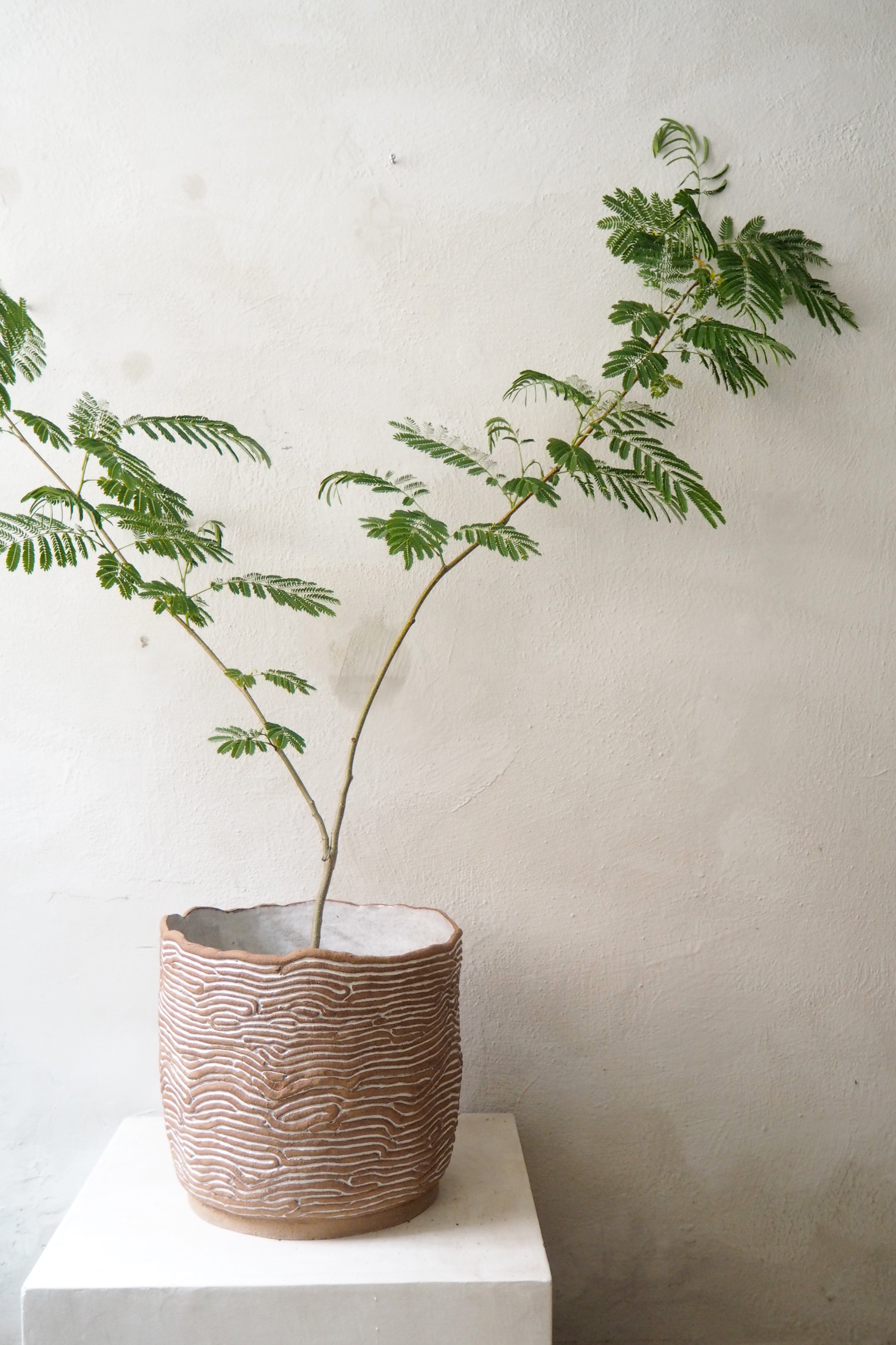 StineMei - Wood brown