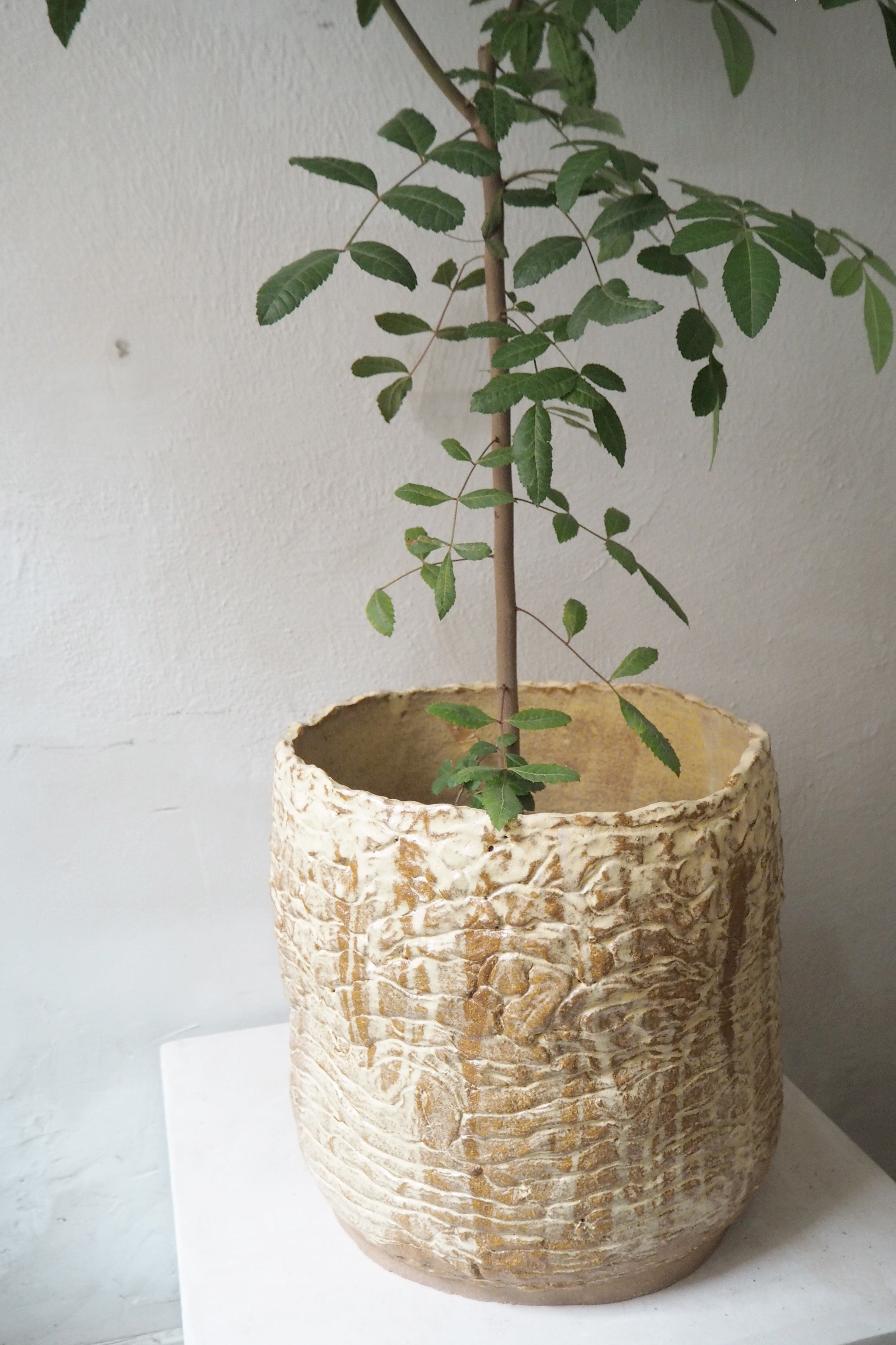 StineMei - Wood Yellow