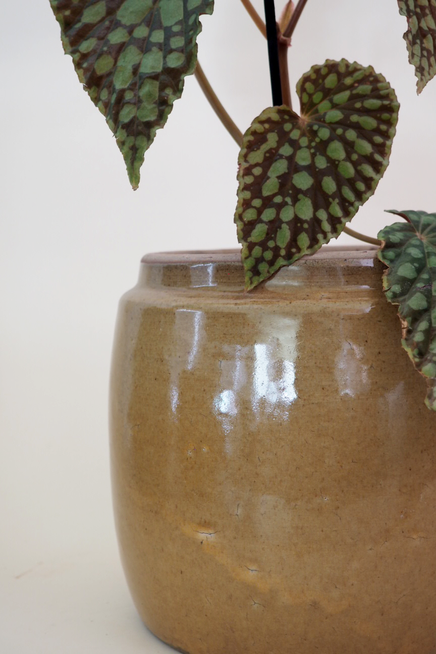 Berit krukken, mustard, ø 22 cm