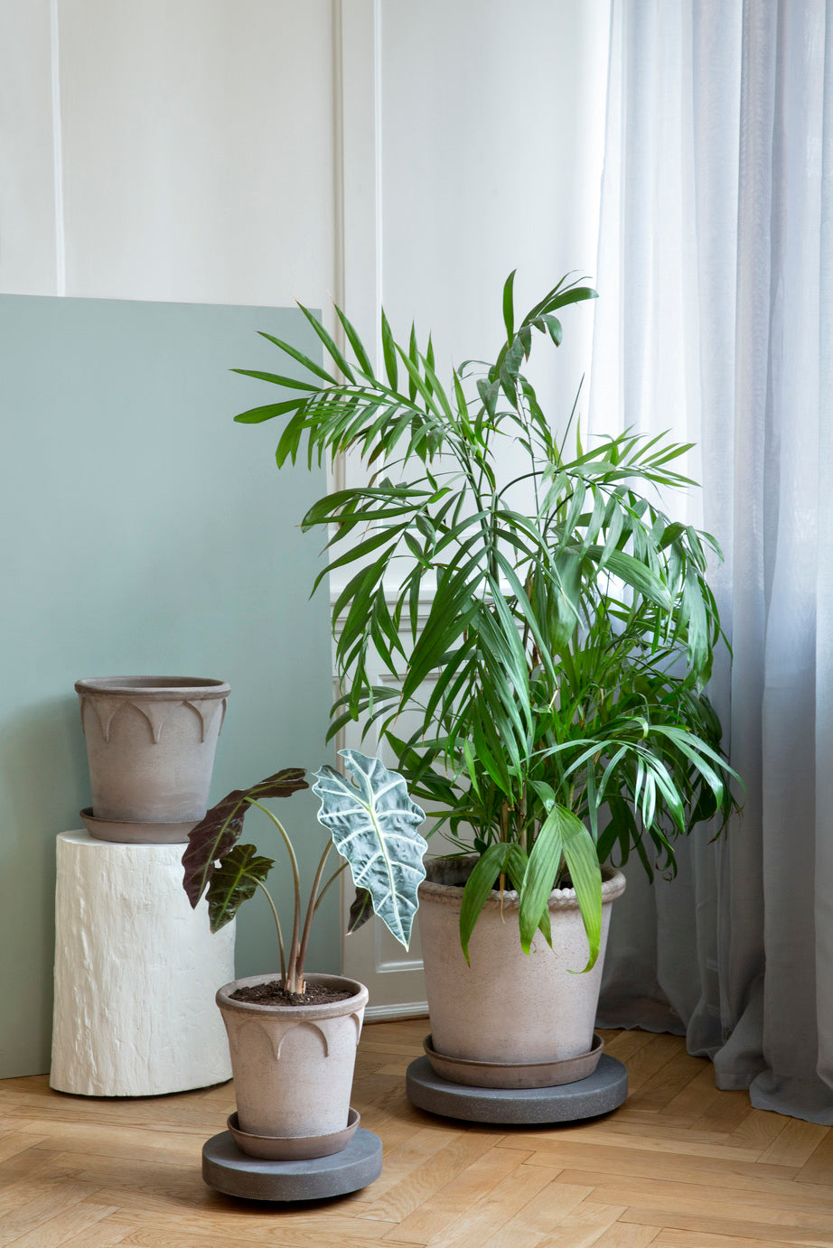 Rolling stones - rulleplade