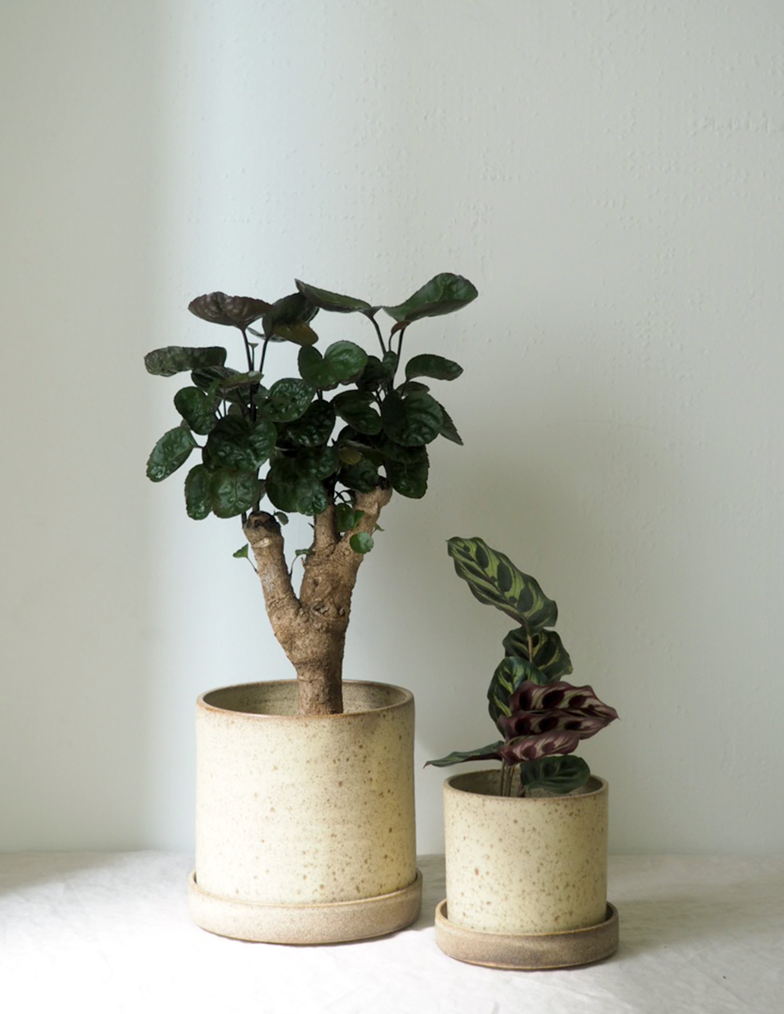 V.O krukke - sand, large