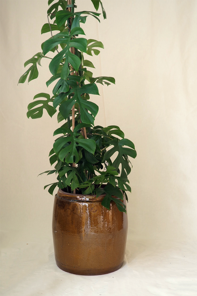 Berit krukke, B GREEN