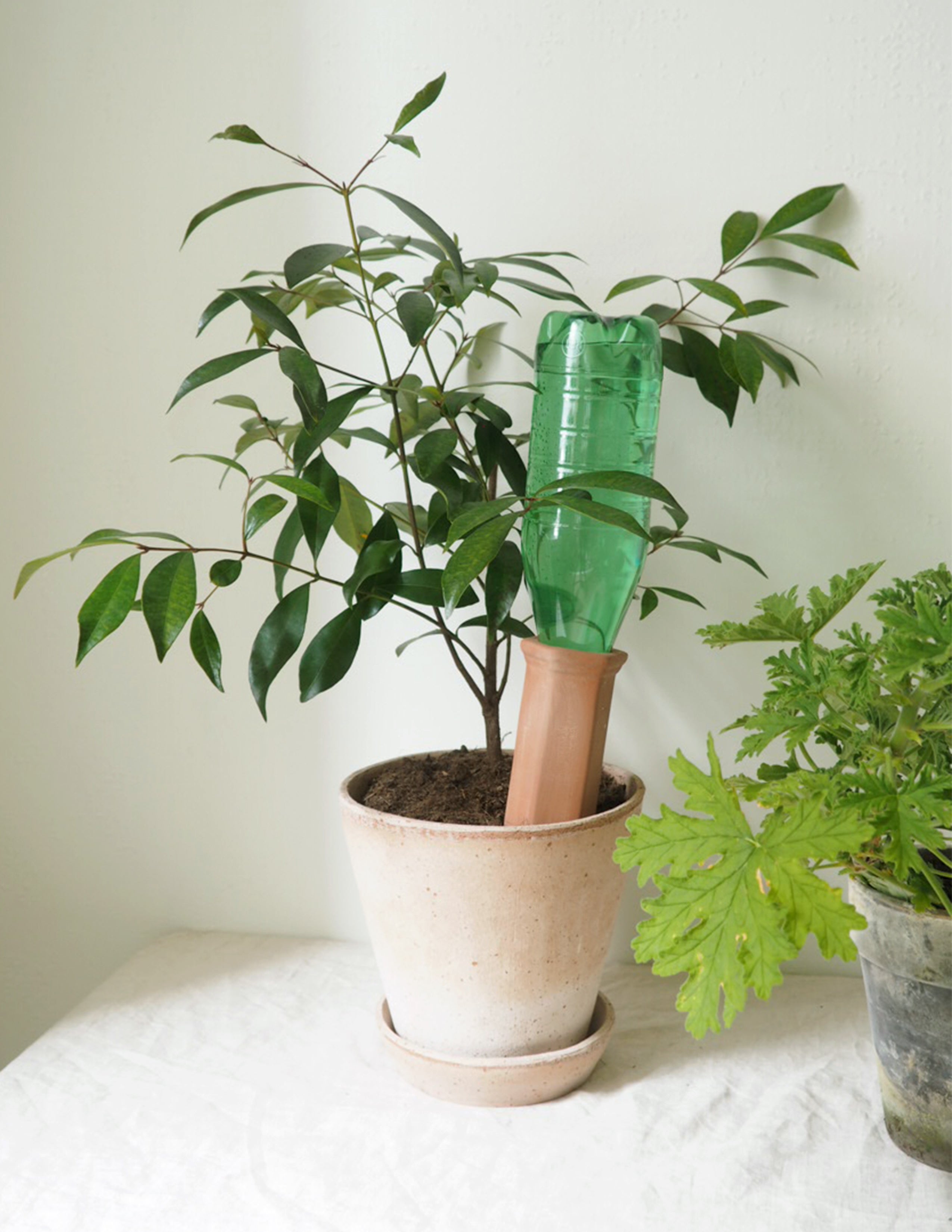 Selvvandingscylinder