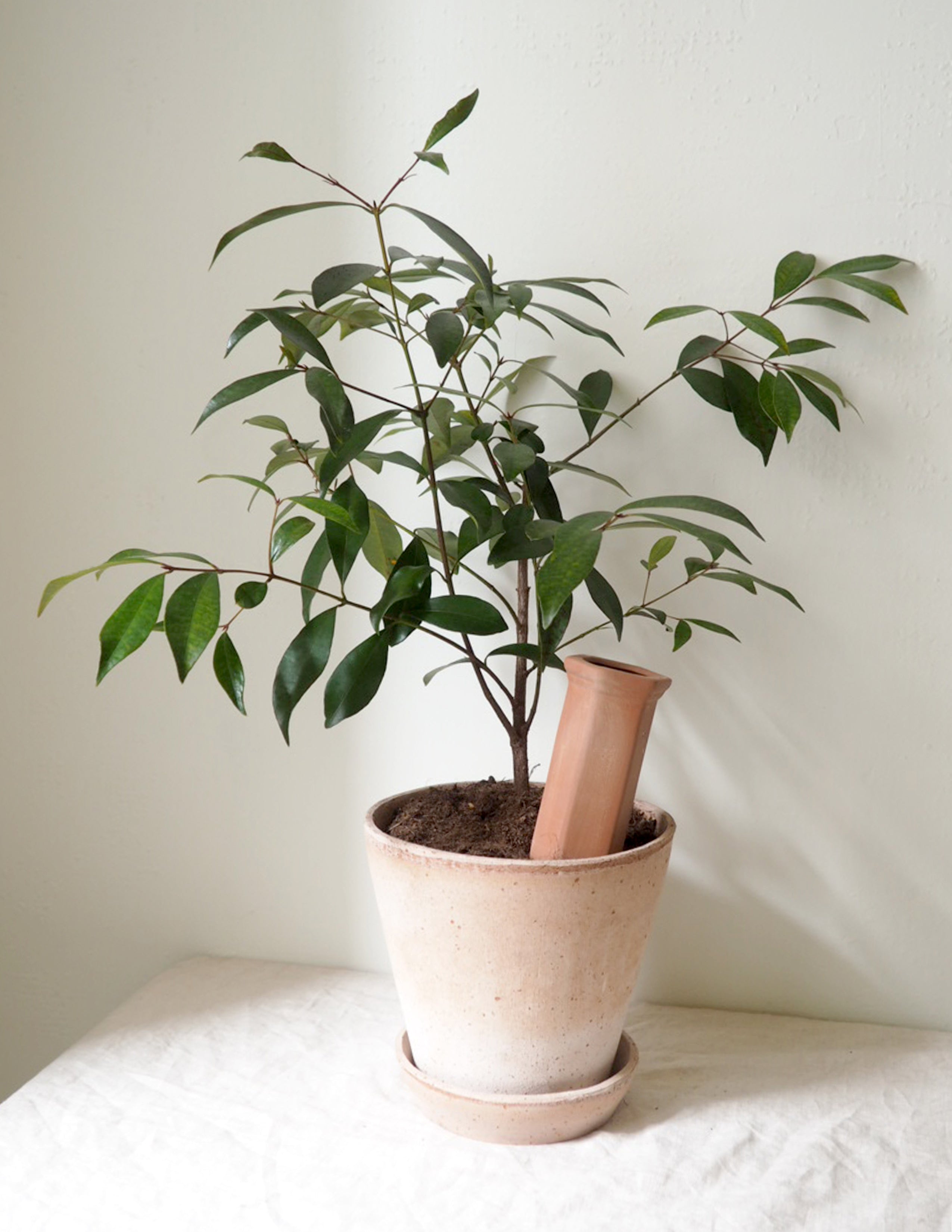 Selvvandingscylinder