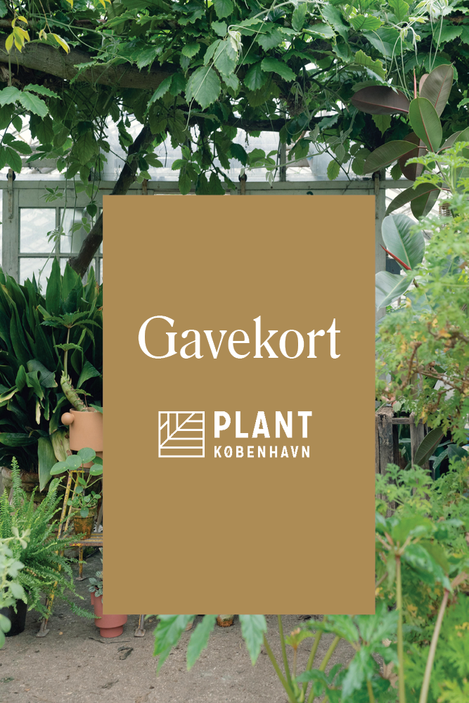 Gavekort til Plant København