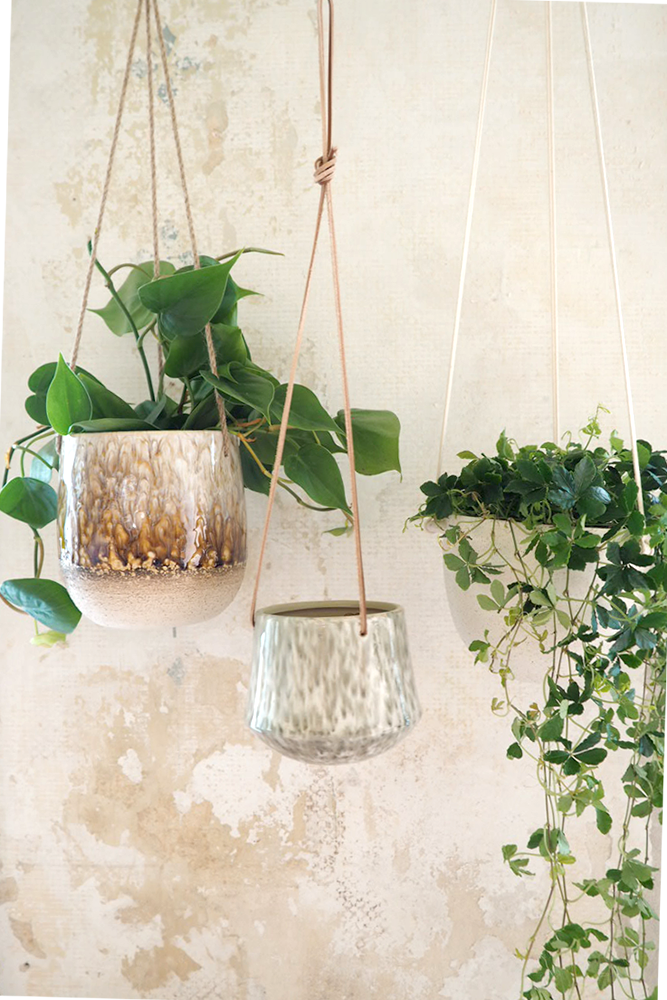 Ilda hængekrukke, Bloomingville