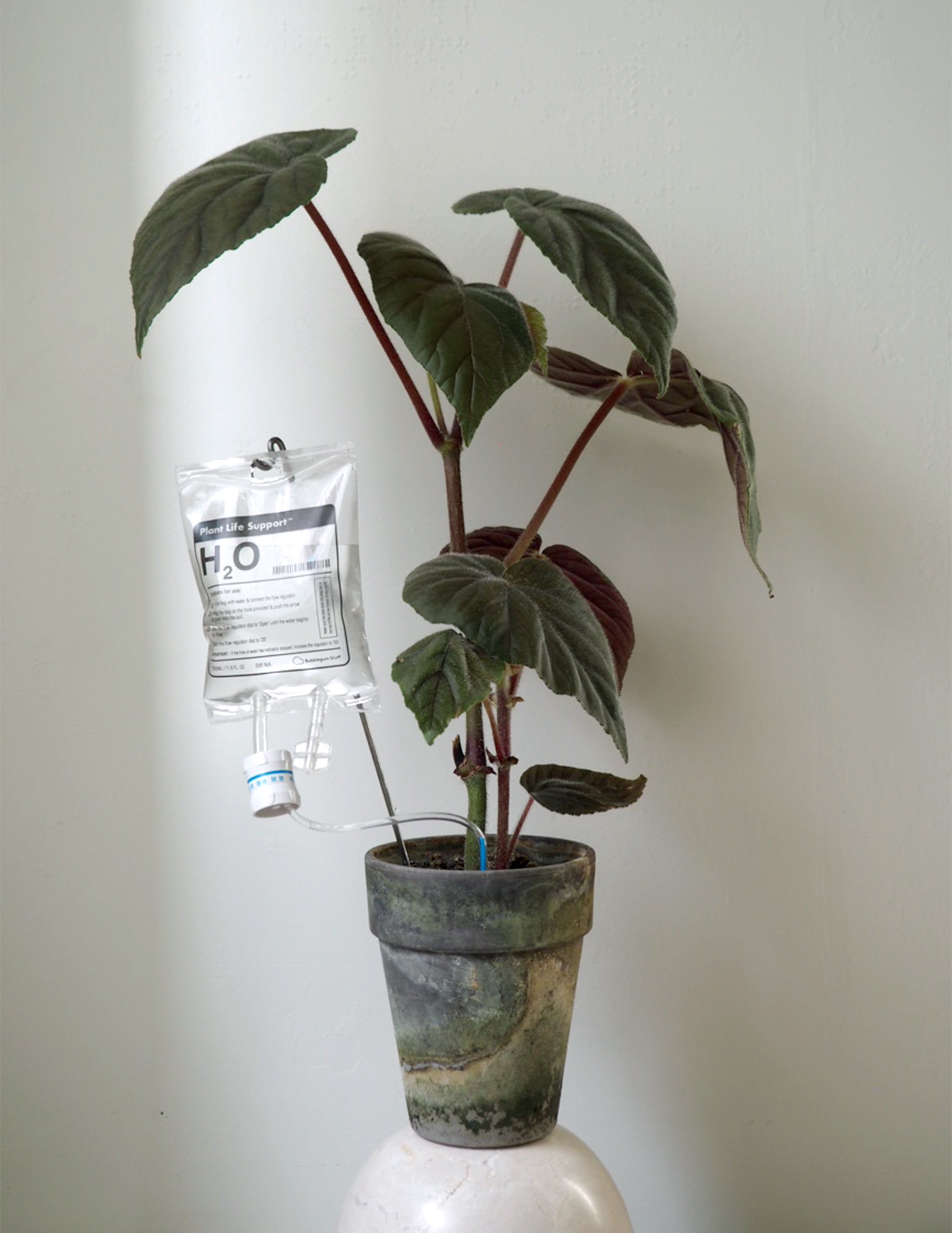 Selvvandende Plant Life support, stor