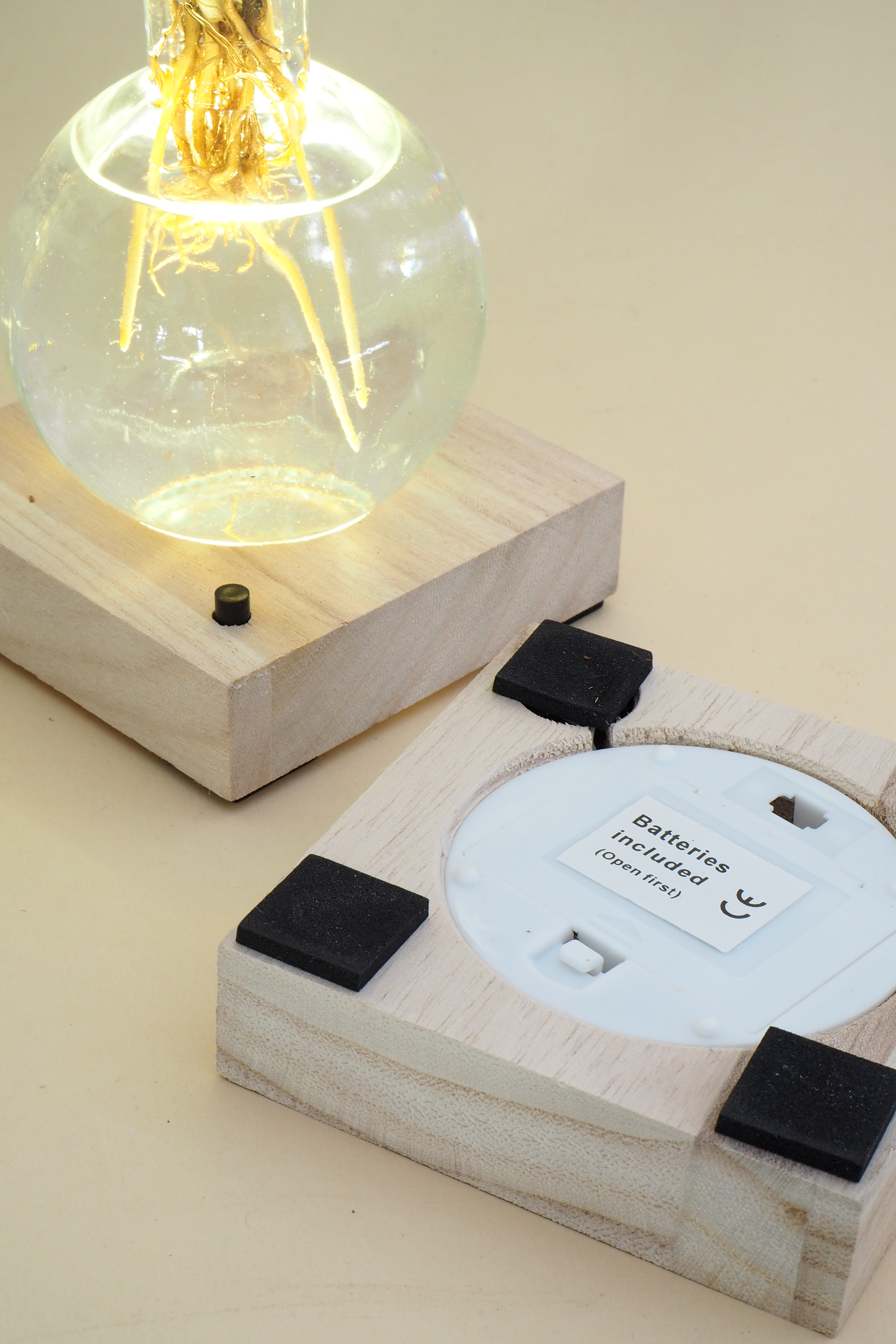 Plantelampe, Calathea